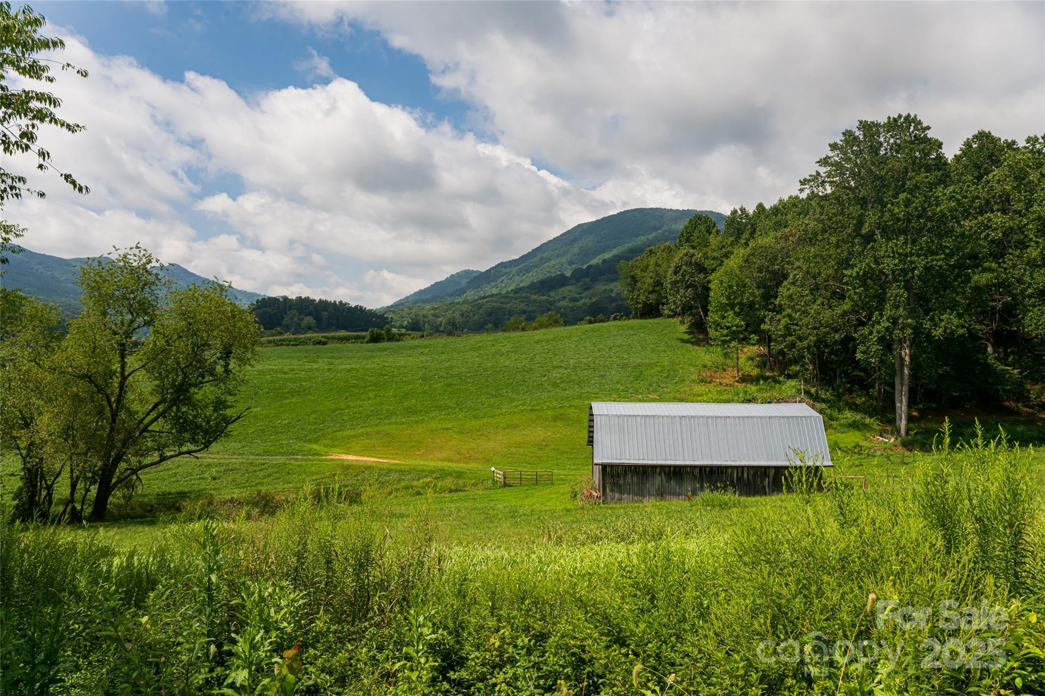 36 Brooks Branch Road Leicester, NC 28748 - Photo 45 of 47