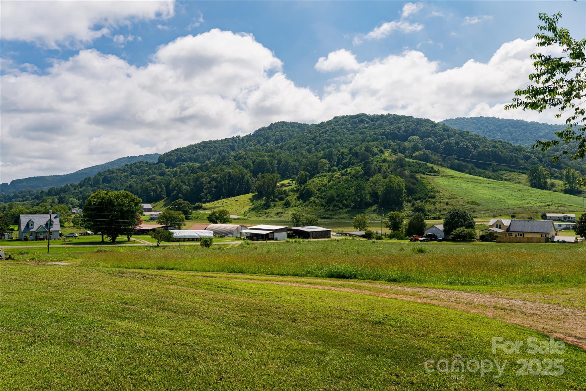 36 Brooks Branch Road Leicester, NC 28748 - Photo 47 of 47