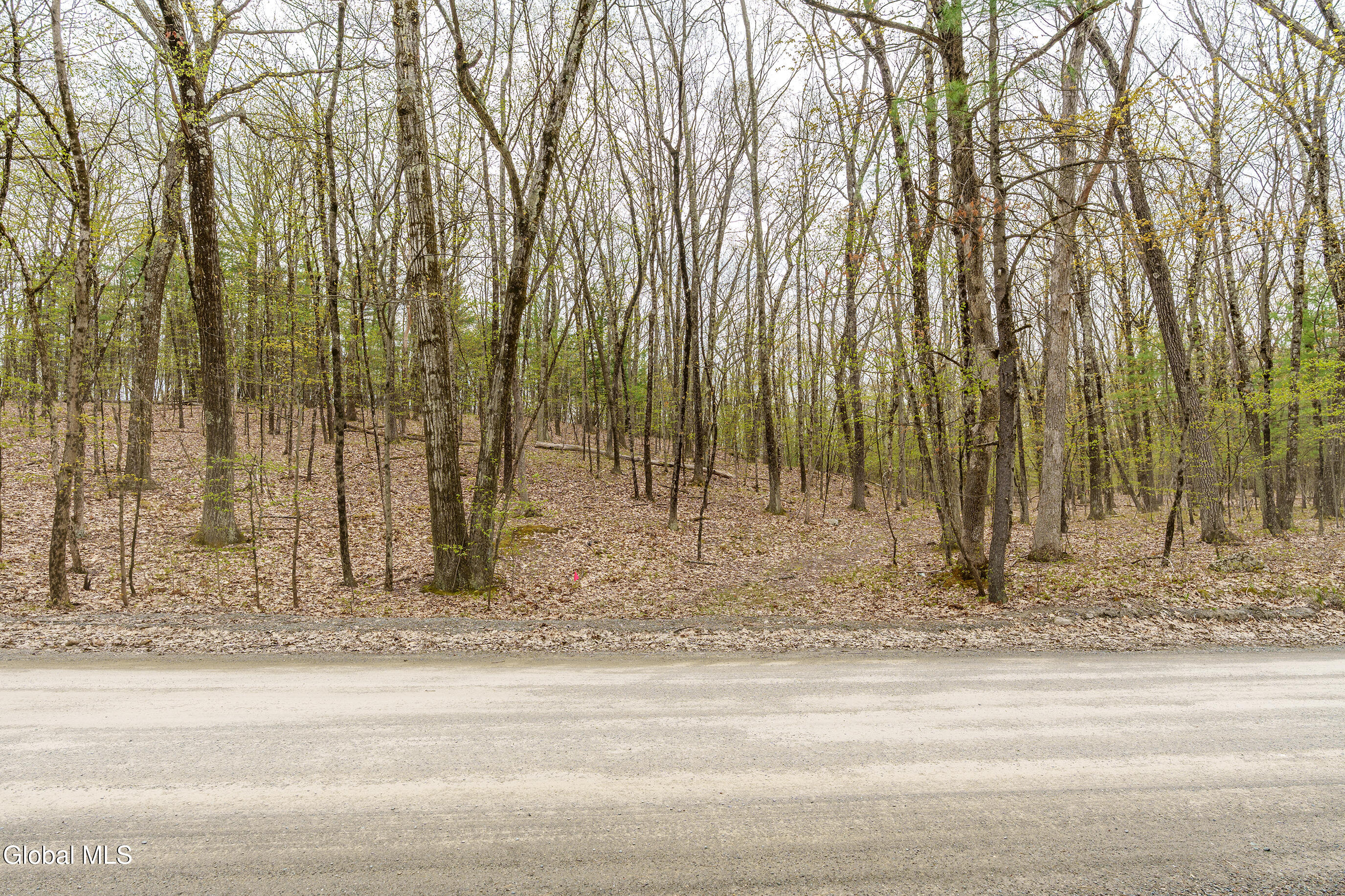 83 Maschodack Road Nassau, NY 12123 - Photo 16 of 26 029-Mashodack-Rd-Nassau-NY-12123
