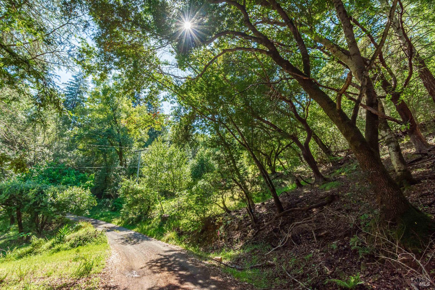 0 Dry Creek Road Napa, CA 94558 - Photo 29 of 98