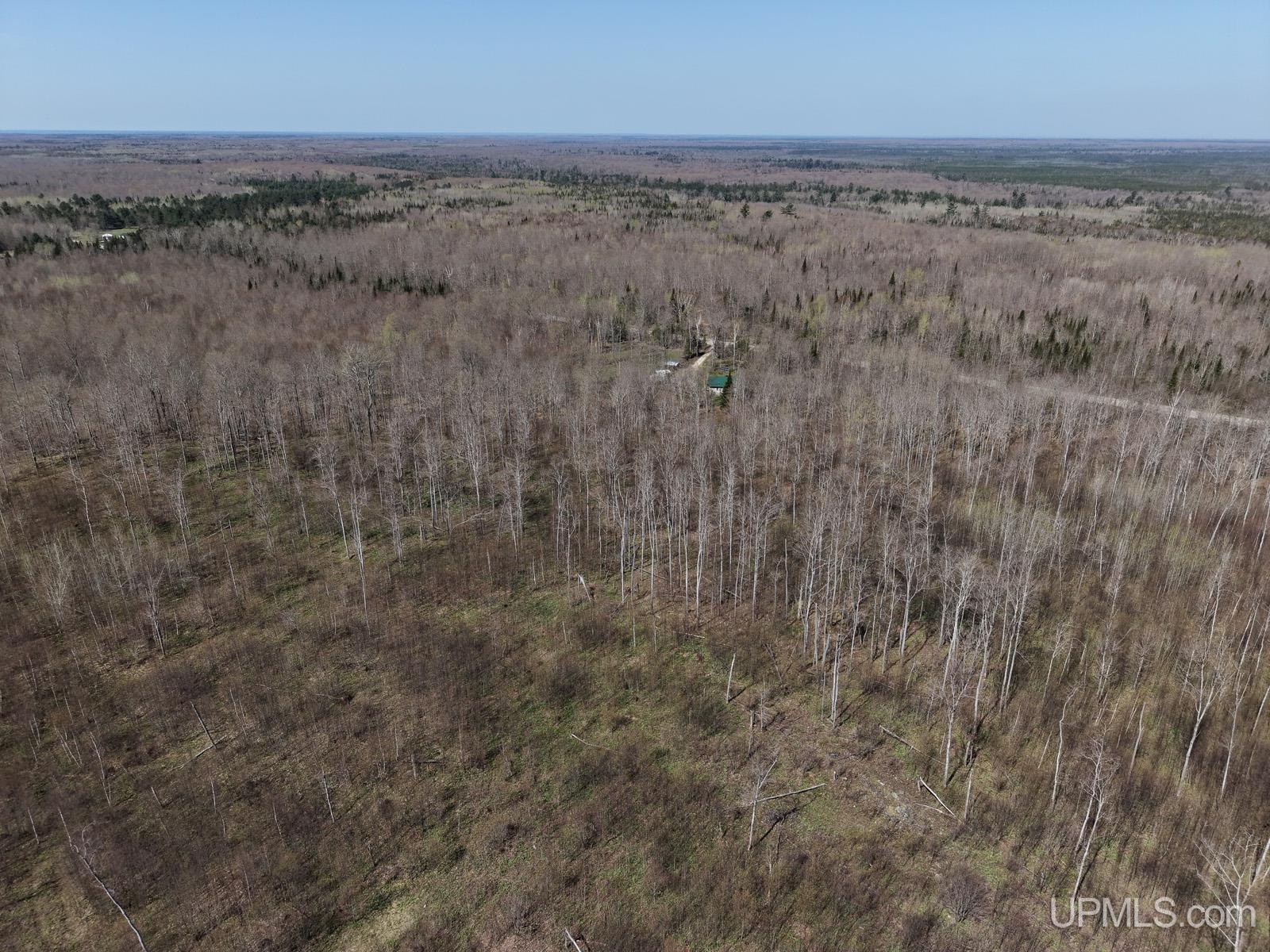 2493 Letson Road Gulliver, MI 49840 - Photo 39 of 56