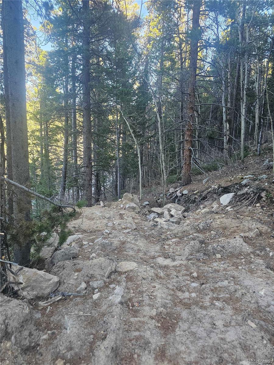 1s R: 72 Street Golden, CO 80403 - Photo 2 of 19 a view of a forest with trees in the background
