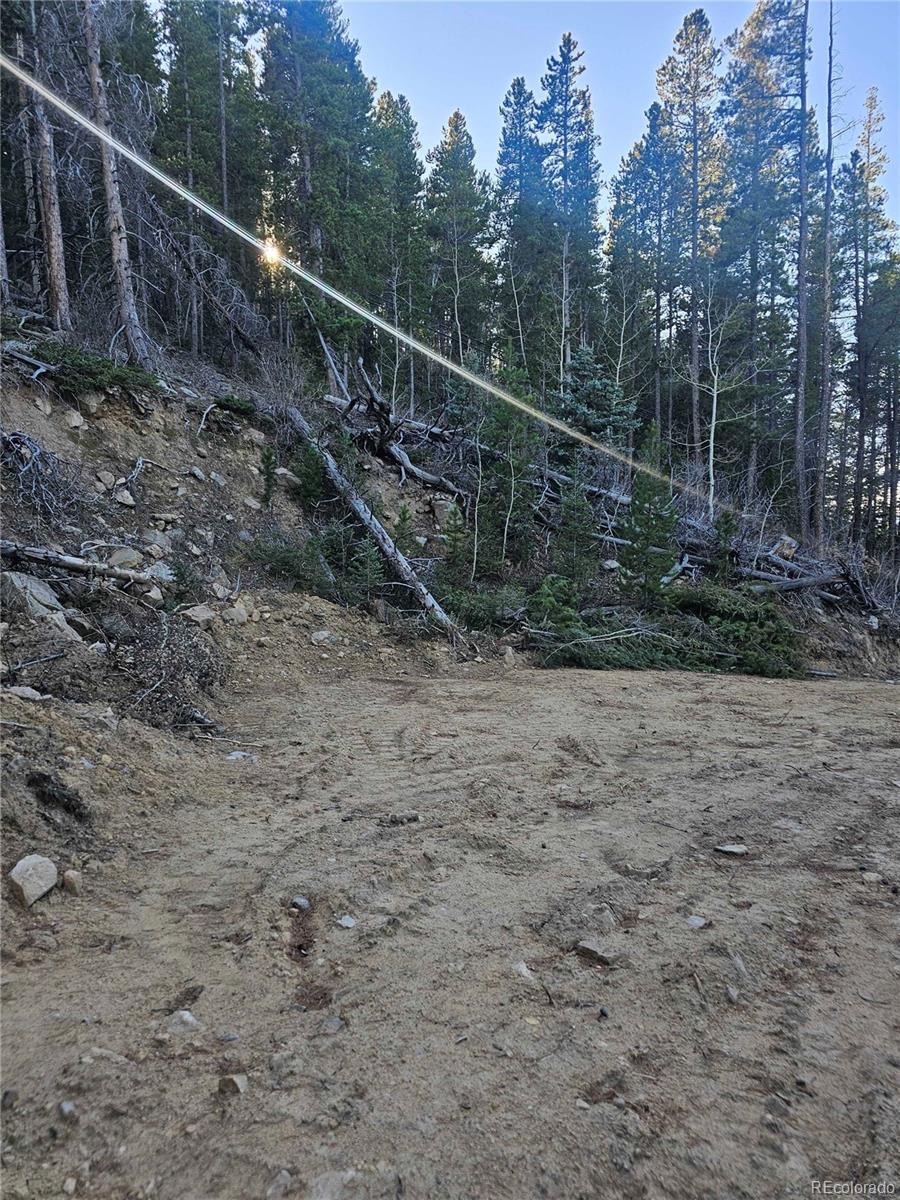 1s R: 72 Street Golden, CO 80403 - Photo 3 of 19 a view of a yard with a forest