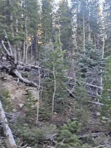 a view of a brick wall with a shower