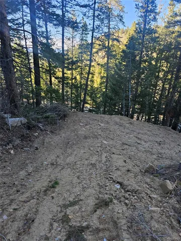 a view of a yard with trees