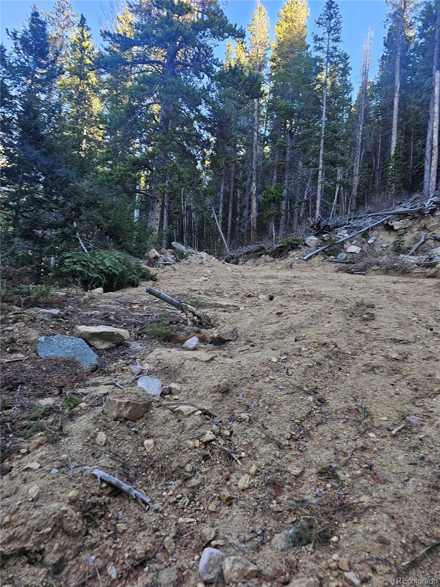 1s R: 72 Street Golden, CO 80403 - Photo 7 of 19 a view of a backyard with trees