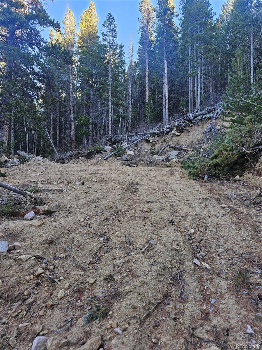 1s R: 72 Street Golden, CO 80403 - Photo 8 of 19 a view of a backyard with trees