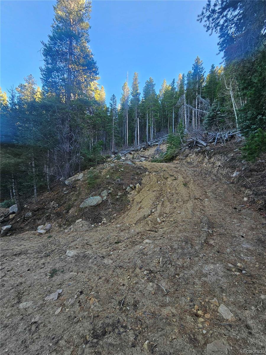 1s R: 72 Street Golden, CO 80403 - Photo 9 of 19 a view of a forest with trees in the background