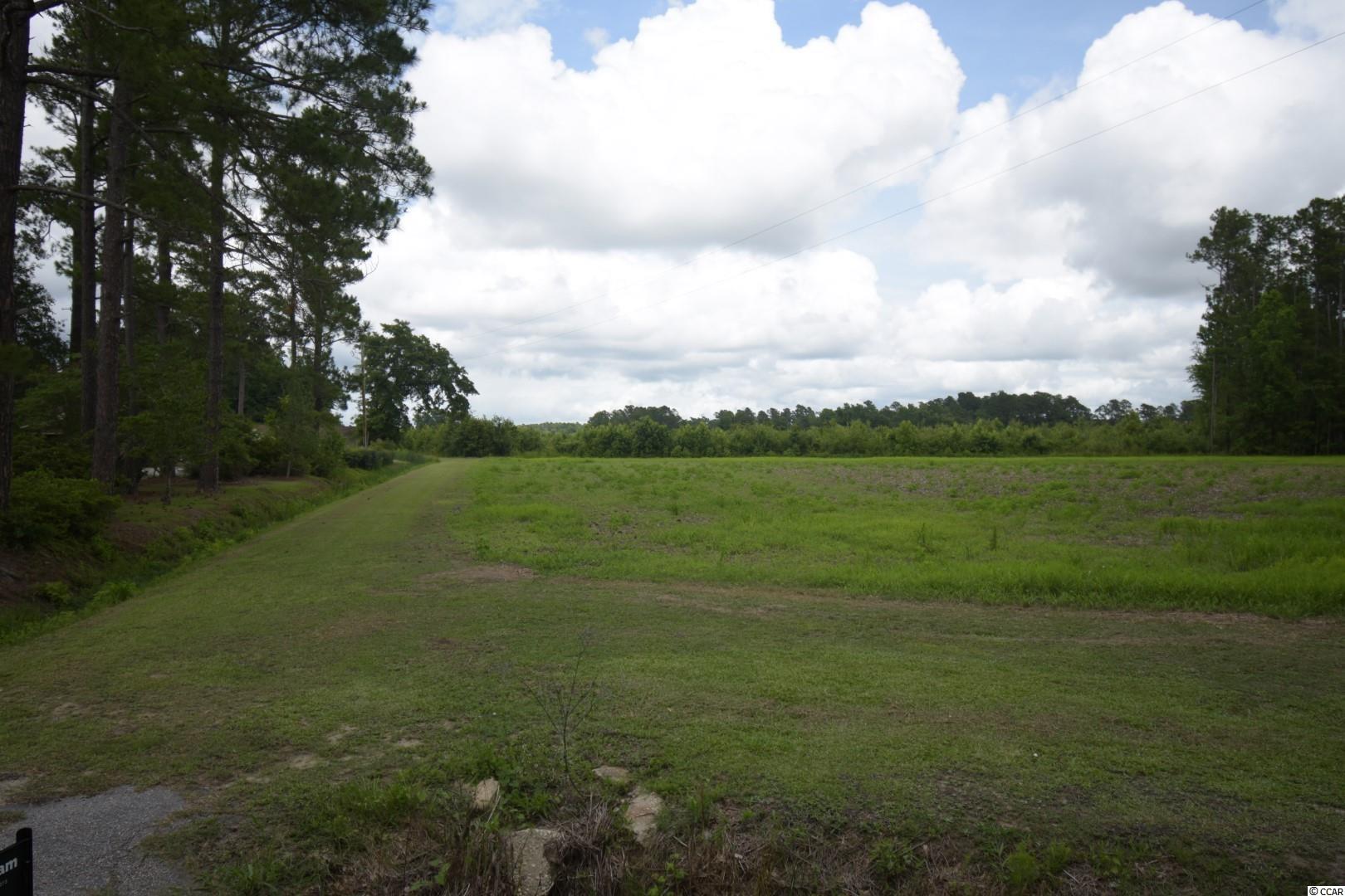 Tbd2 Mt Olive Church Road Green Sea, SC 29545 - Photo 2 of 5 Gallery Image 2