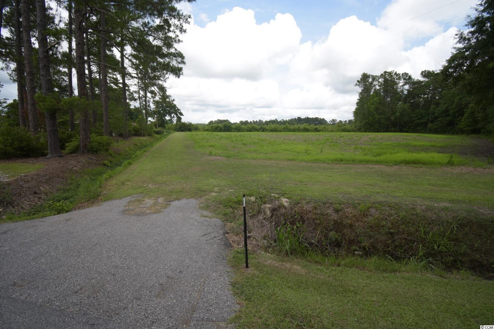 Tbd2 Mt Olive Church Road Green Sea, SC 29545 - Photo 3 of 5 Gallery Image 3