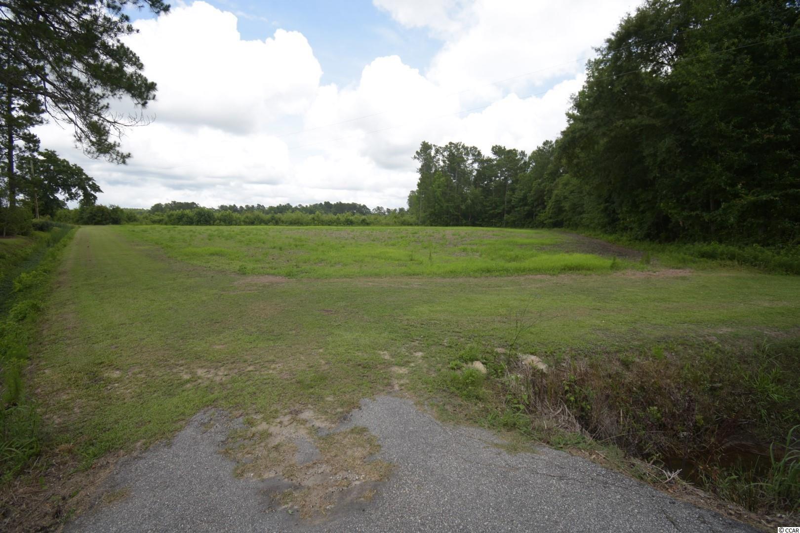 Tbd2 Mt Olive Church Road Green Sea, SC 29545 - Photo 4 of 5 Gallery Image 4