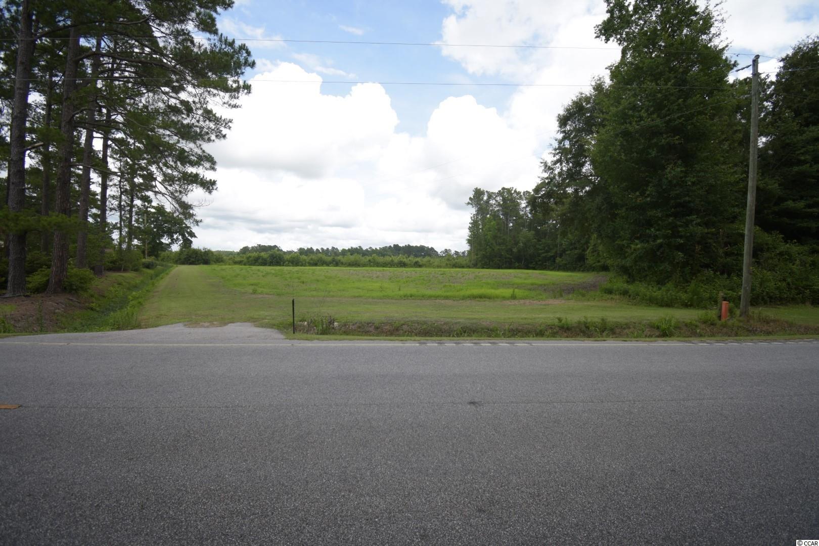 Tbd2 Mt Olive Church Road Green Sea, SC 29545 - Photo 5 of 5 Gallery Image 5