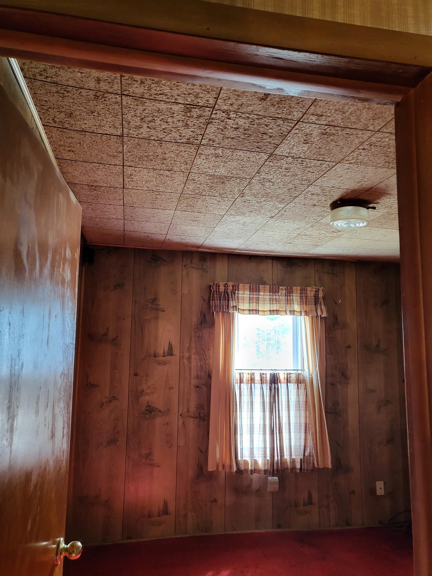 6957 Curtis Road Hale, MI 48739 - Photo 17 of 20 1898514-17.JPG