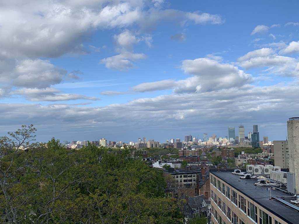 1450 Beacon Street, Unit 504 Brookline, MA 02446 - Photo 20 of 21 a view of a city