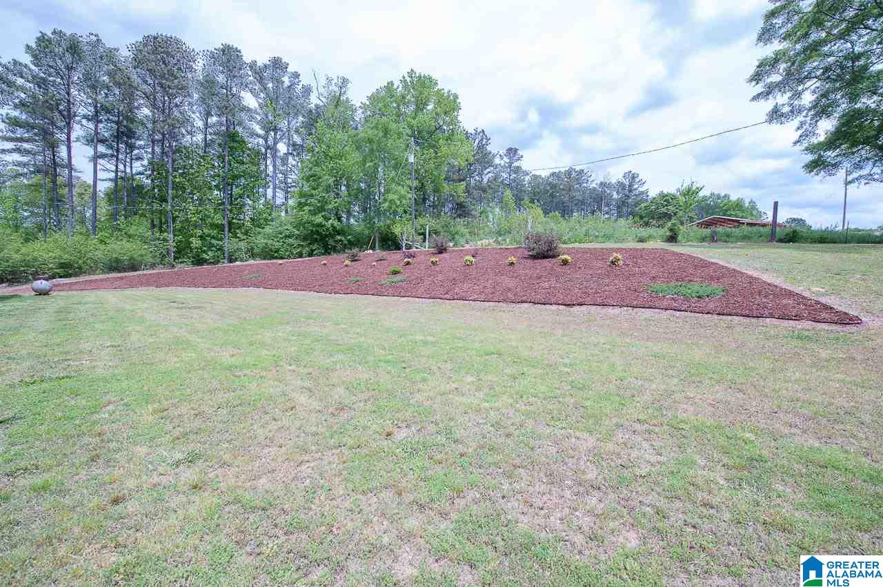 890 Easonville Road Cropwell, AL 35054 - Photo 11 of 49