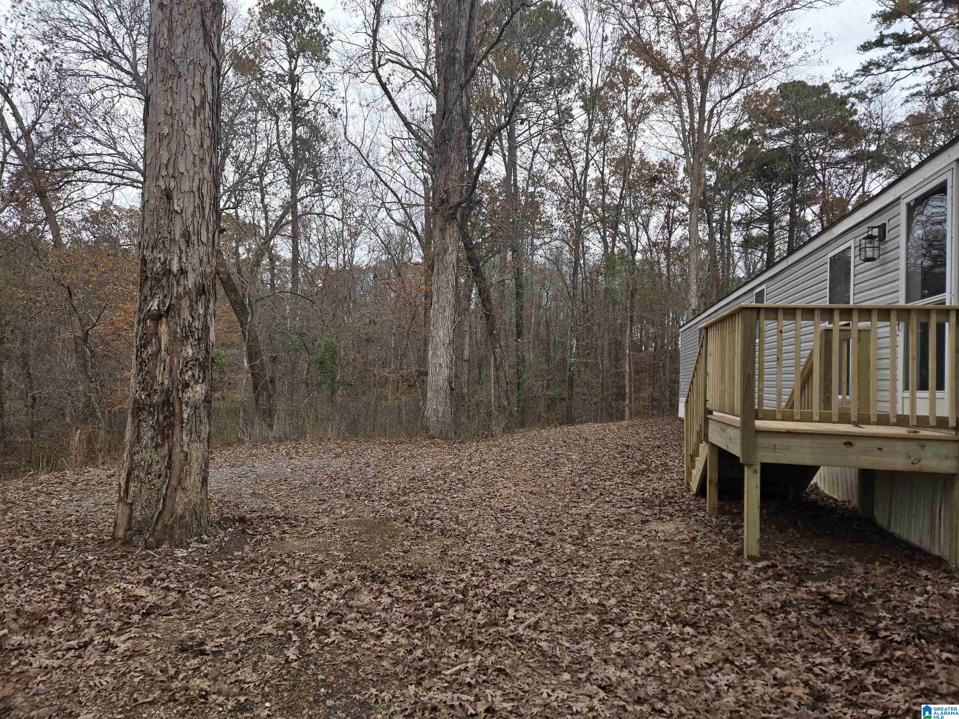33299 Highway 79 Cleveland, AL 35049 - Photo 22 of 24