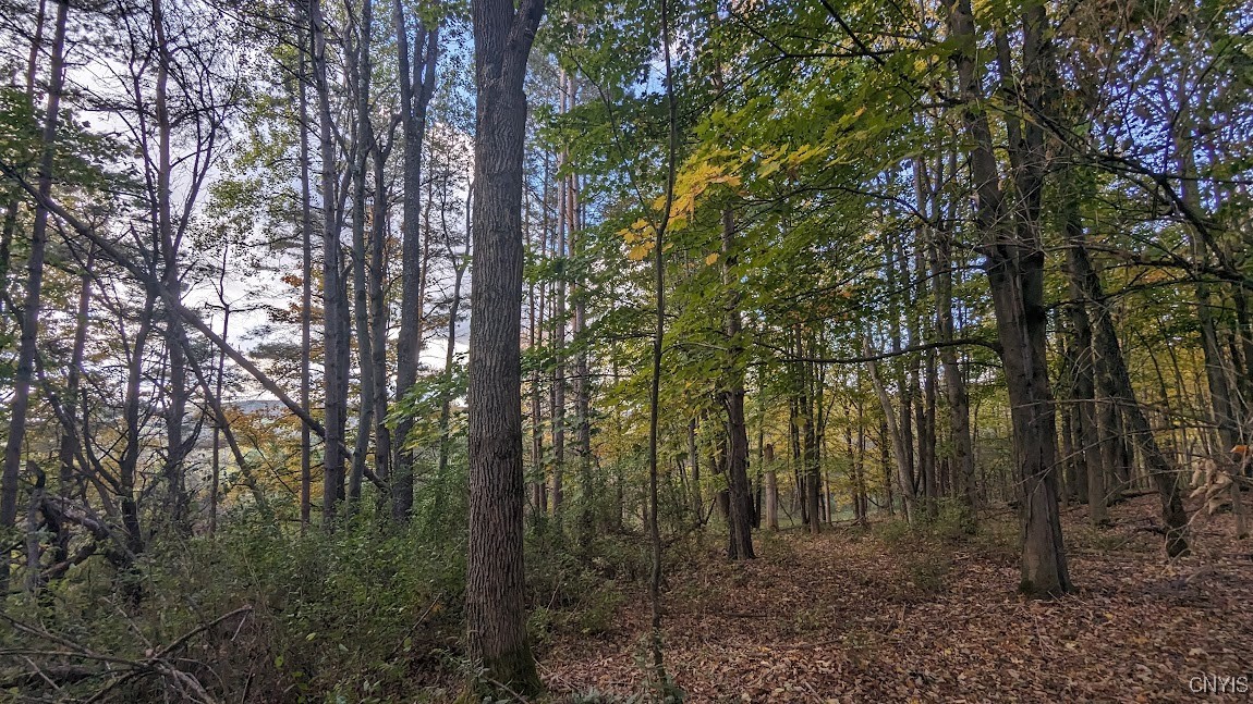 0 Johnny Cake Hill Road Hamilton, NY 13346 - Photo 11 of 14