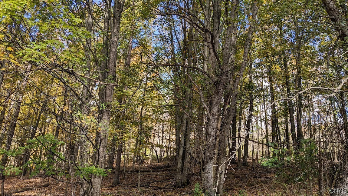 0 Johnny Cake Hill Road Hamilton, NY 13346 - Photo 14 of 14