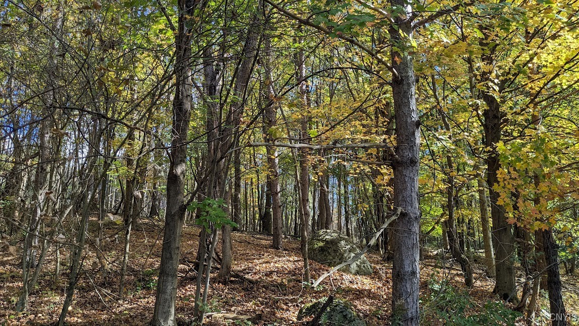 0 Johnny Cake Hill Road Hamilton, NY 13346 - Photo 2 of 14