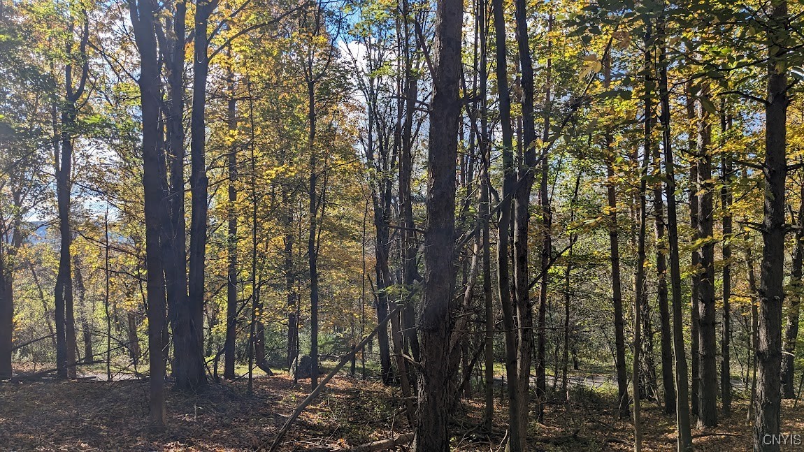 0 Johnny Cake Hill Road Hamilton, NY 13346 - Photo 5 of 14