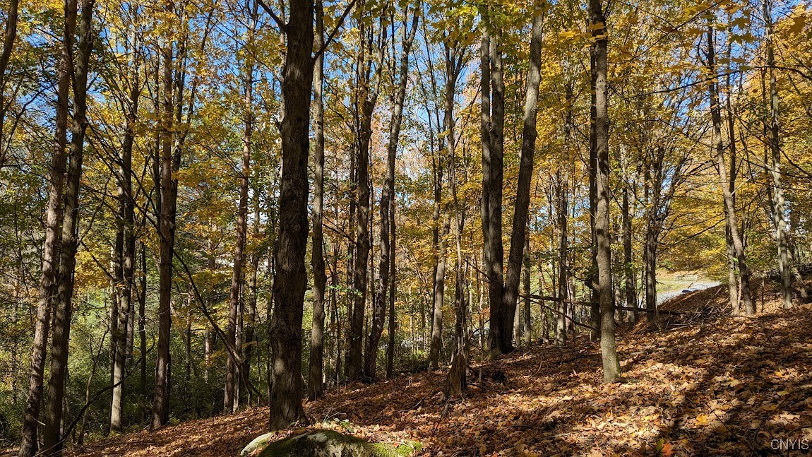 0 Johnny Cake Hill Road Hamilton, NY 13346 - Photo 6 of 14