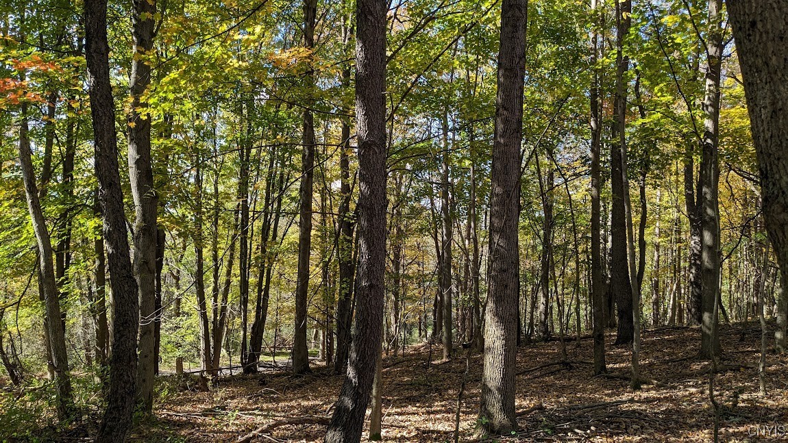 0 Johnny Cake Hill Road Hamilton, NY 13346 - Photo 7 of 14