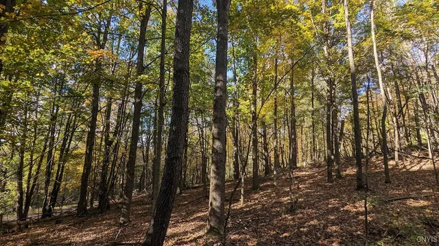 $45,000 | 0 Johnny Cake Hill Road, Hamilton, NY 13346