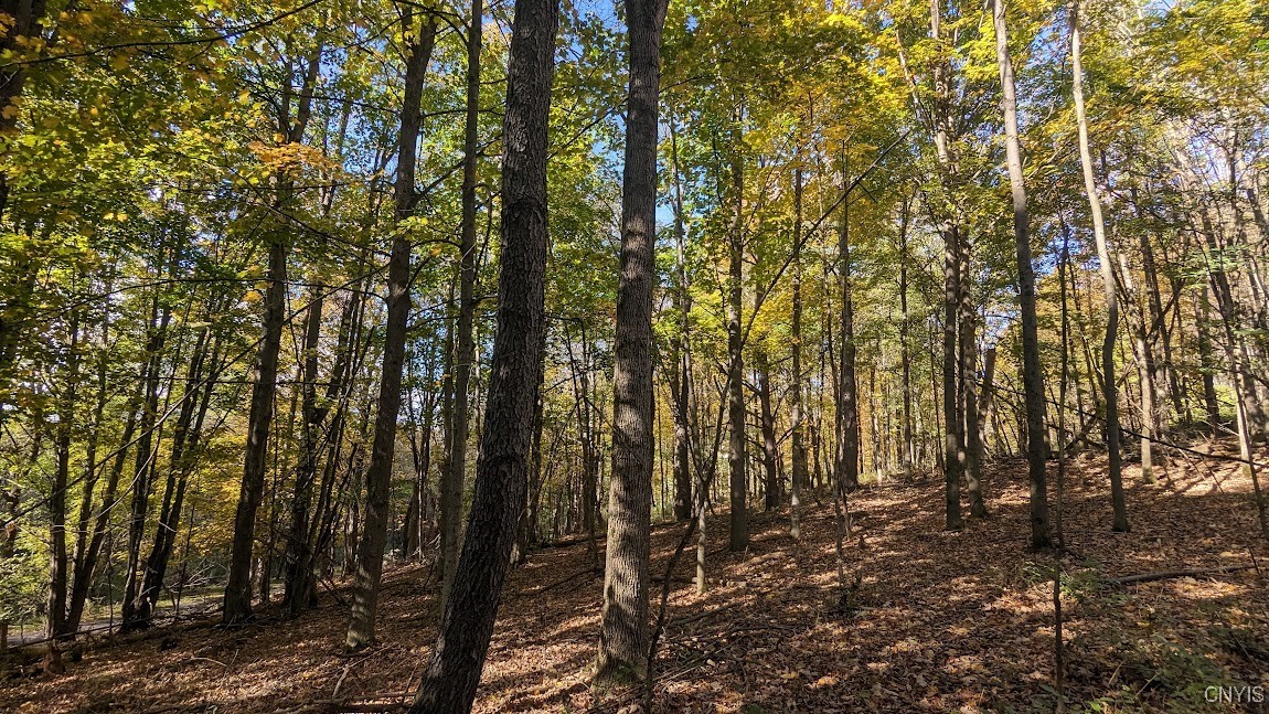 0 Johnny Cake Hill Road Hamilton, NY 13346 - Photo 9 of 14