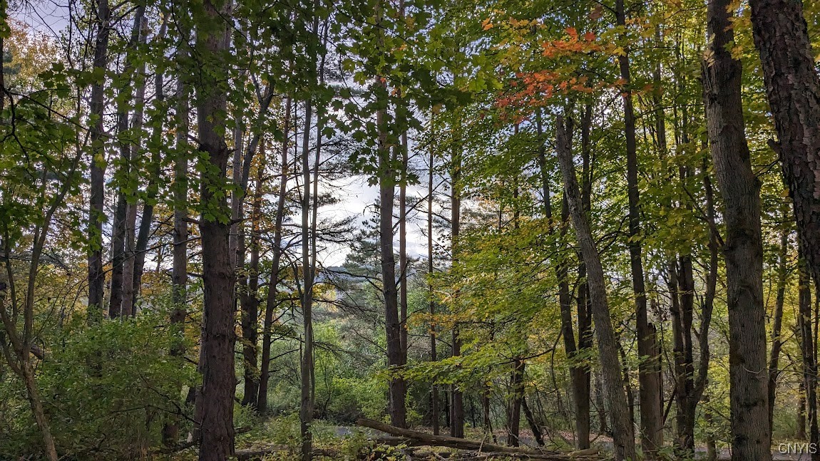 0 Johnny Cake Hill Road Hamilton, NY 13346 - Photo 10 of 14