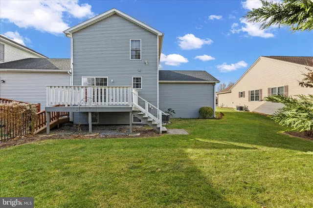 a view of a park with a tree
