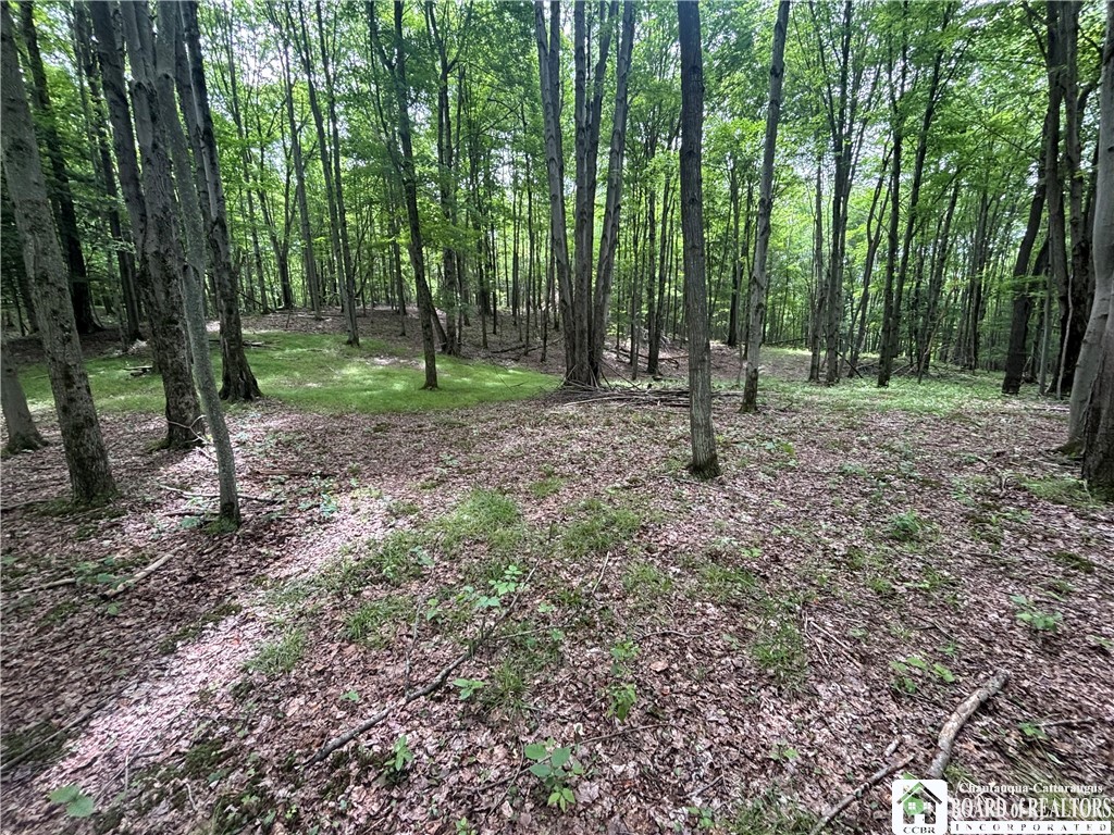 1471 Loomis Road Rexville, NY 14877 - Photo 27 of 50