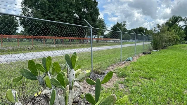 a view of a garden with swimming pool and a park