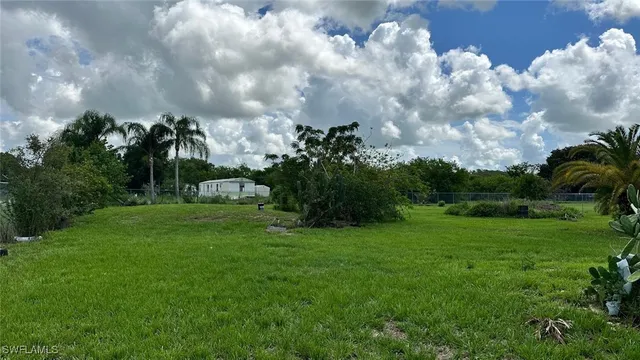 a view of a big yard with palm trees