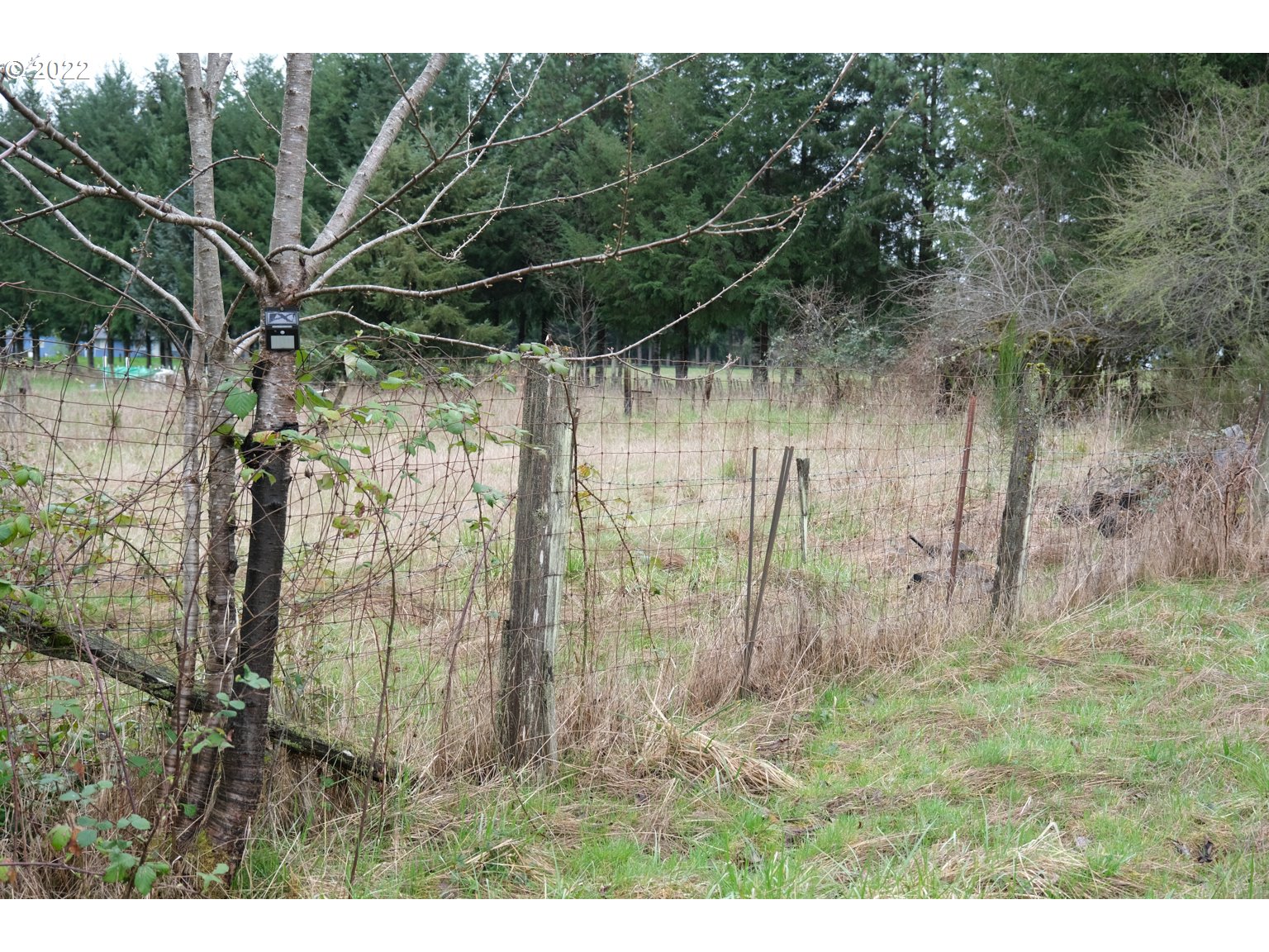449 Collins Road Toledo, WA 98591 - Photo 31 of 32