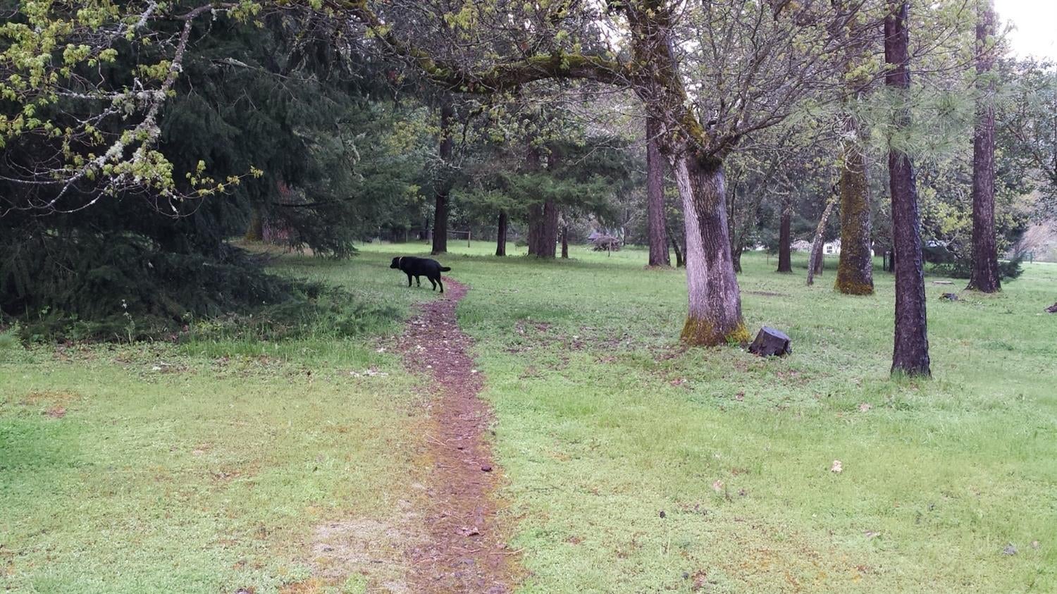8050 North Applegate Road Grants Pass, OR 97527 - Photo 31 of 34 There is a easy walking trail all the wa