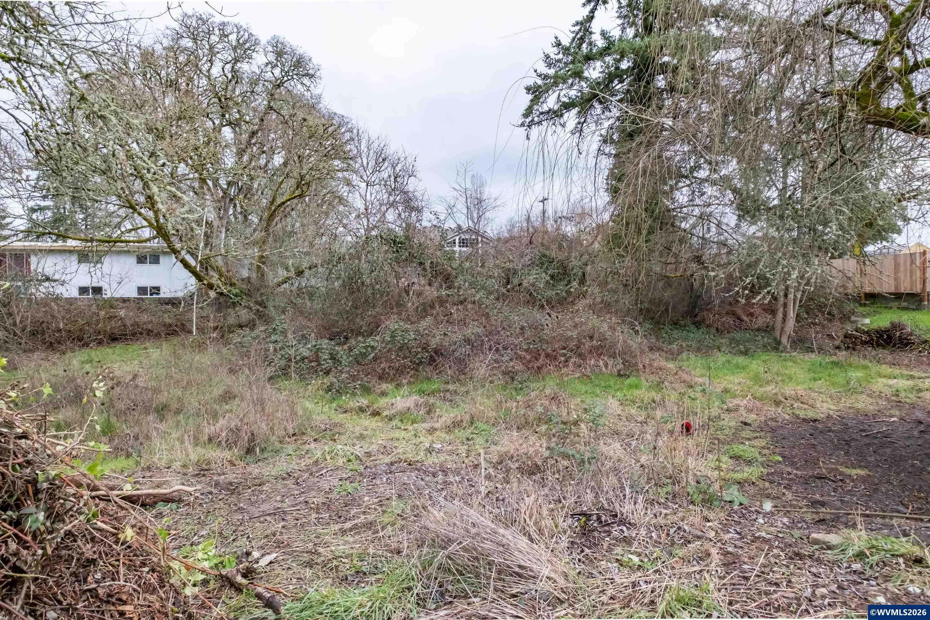 Lot 2 Southwest 12th Avenue Albany, OR 97321 - Photo 3 of 20