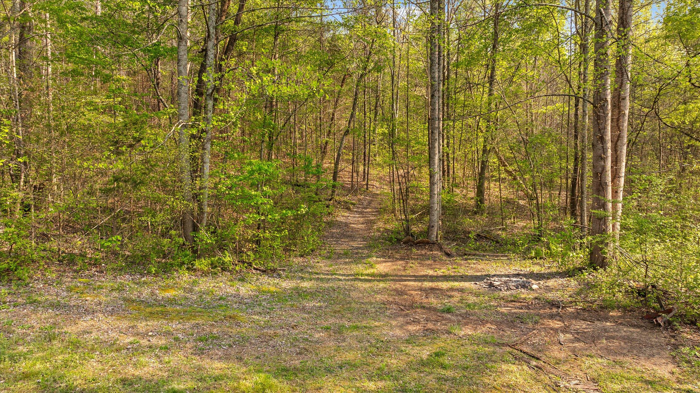 145 Cora Lane Ringgold, GA 30736 - Photo 52 of 63 55-Cora-55