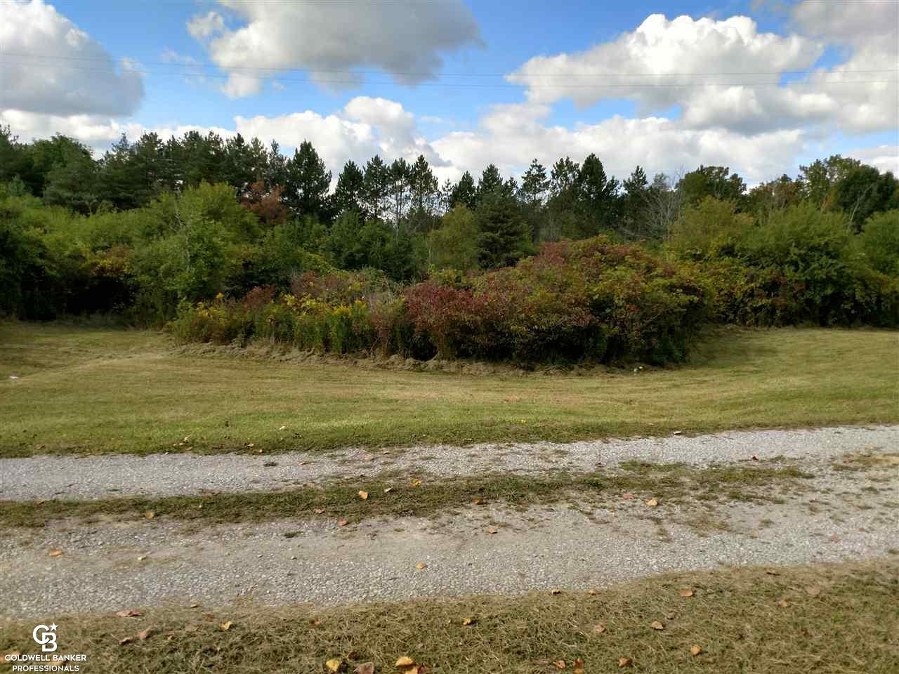 8276 Jorden Road Yale, MI 48097 - Photo 33 of 34 This is a view of across the driveway.