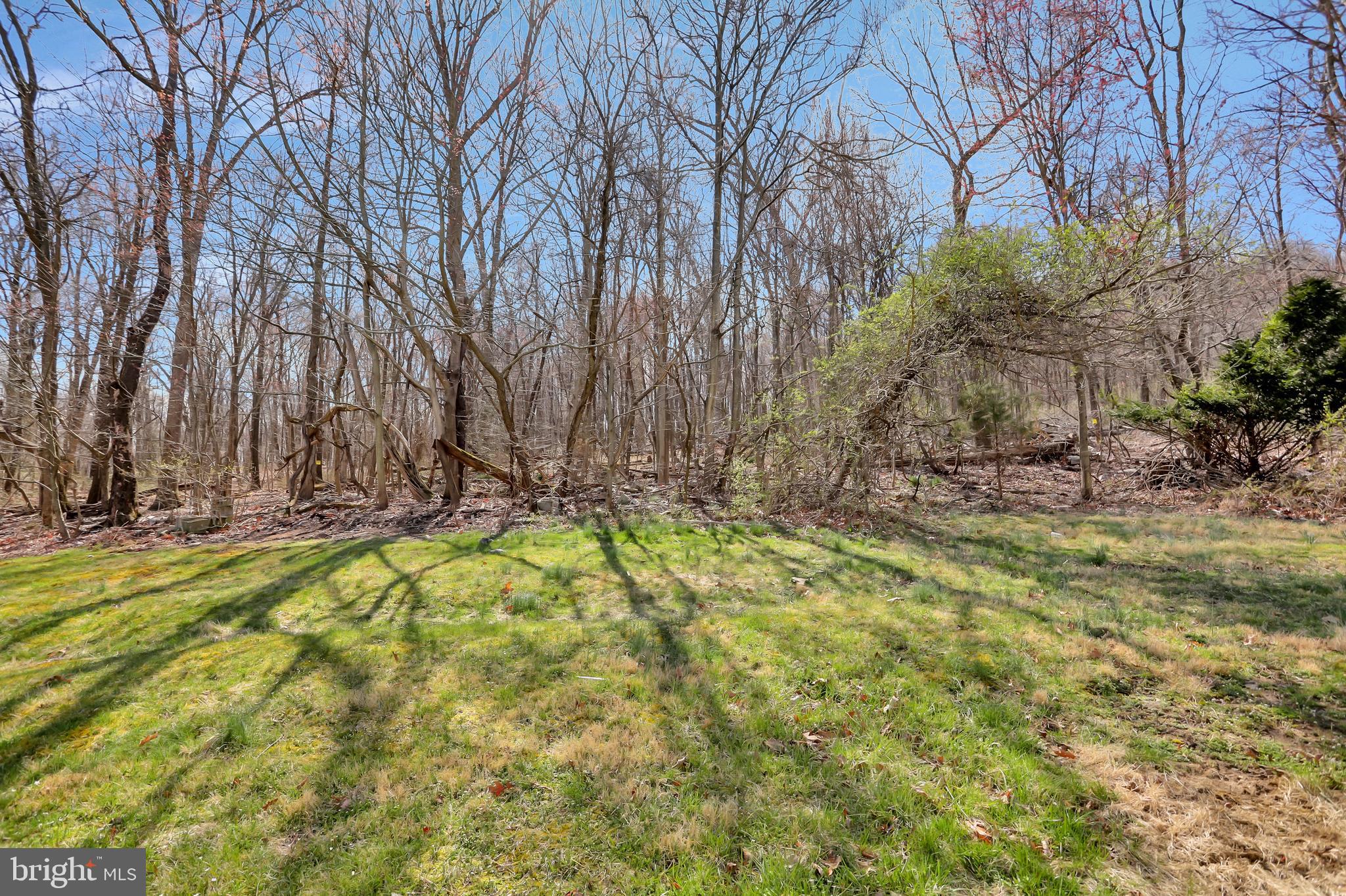 13246 Blairs Valley Road Clear Spring, MD 21722 - Photo 30 of 32