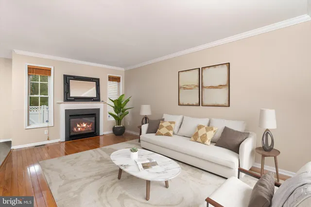 a living room with furniture a fireplace with wooden floor