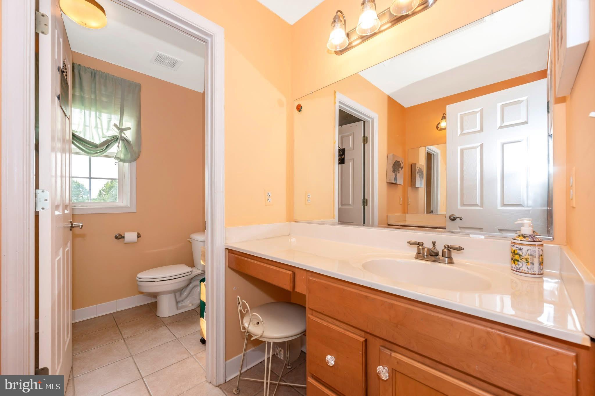 1280 St Michaels Road Mount Airy, MD 21771 - Photo 19 of 43 a bathroom with a sink and a mirror