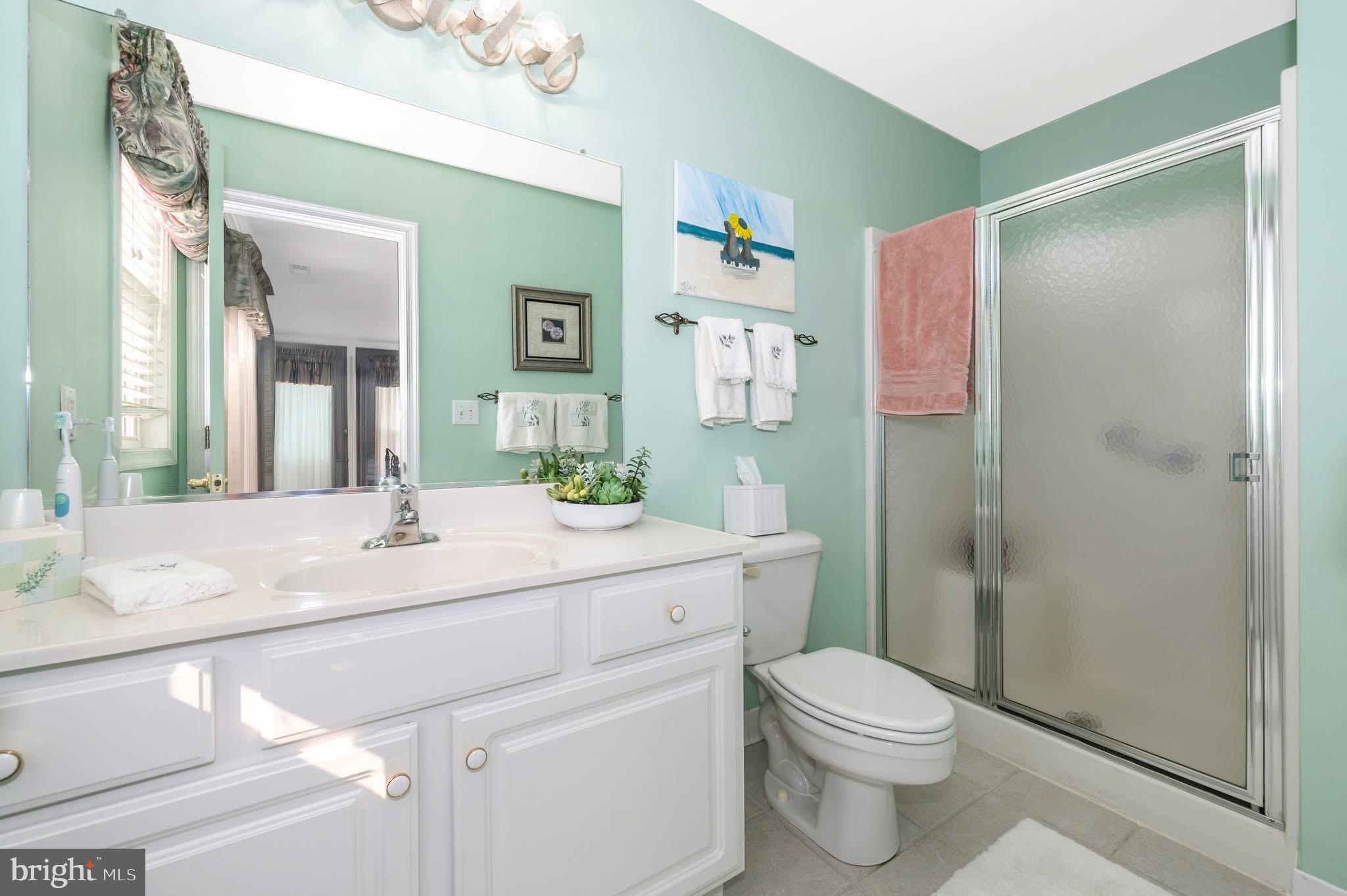 1280 St Michaels Road Mount Airy, MD 21771 - Photo 30 of 43 a bathroom with a sink a toilet and shower