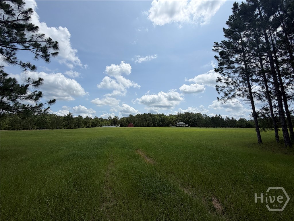 479 Old Poor Robin Road Sylvania, GA 30467 - Photo 21 of 22