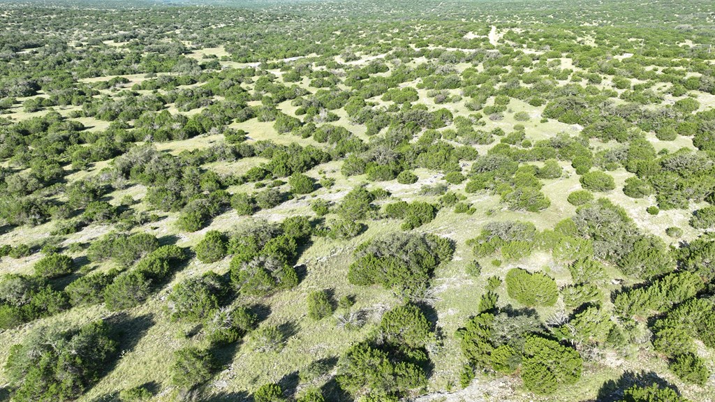 Lot 1 Rr 674 Rocksprings, TX 78880 - Photo 3 of 16