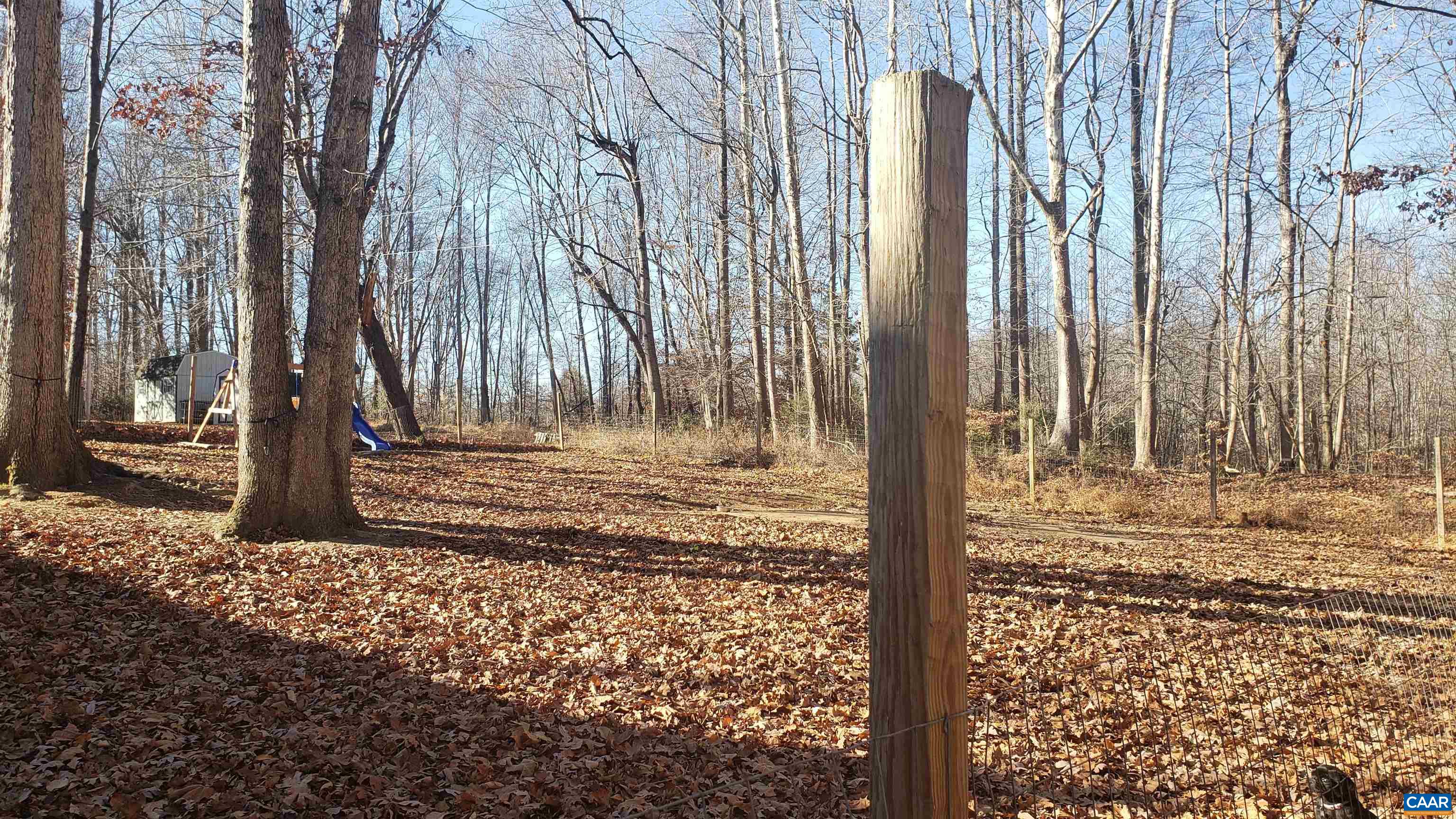 2965 Redd Shop Road Farmville, VA 23901 - Photo 16 of 16 a view of a backyard of the house