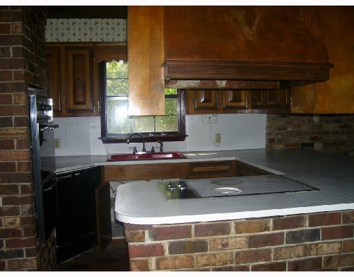 15500 Ridge Road Maurepas, LA 70449 - Photo 4 of 8