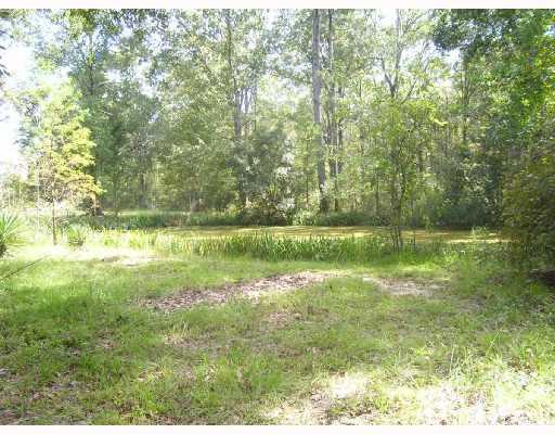 15500 Ridge Road Maurepas, LA 70449 - Photo 8 of 8