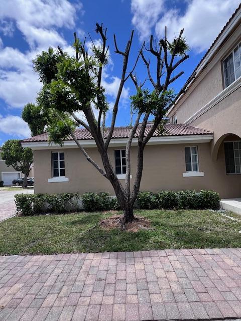 13922 Southwest 278th Street Homestead, FL 33032 - Photo 9 of 133 a house that has a tree in front of the house