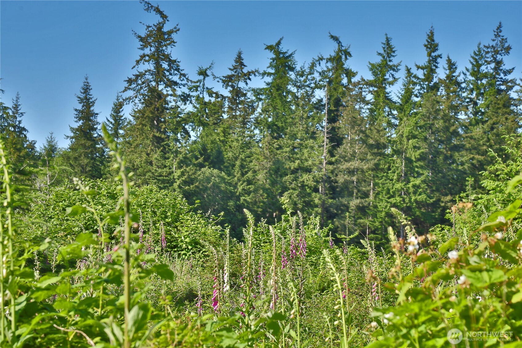 2062 East Goodell Road Freeland, WA 98249 - Photo 23 of 37