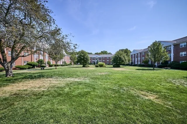 a view of a park with large trees